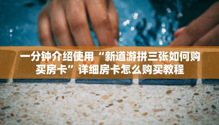 秒懂百科“新海贝大厅在哪买房卡”获取房卡教程-哔哩哔哩