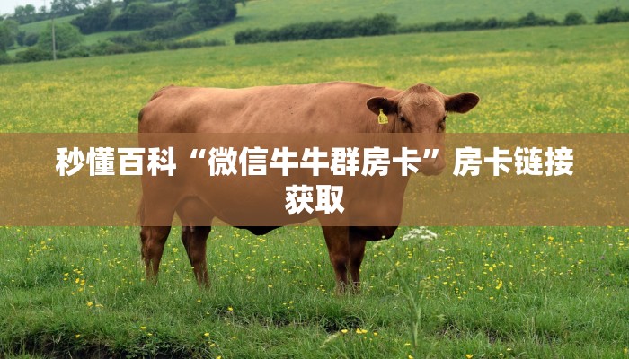 一分钟了解“微信拼三张金花房卡哪里买”详细房卡教程