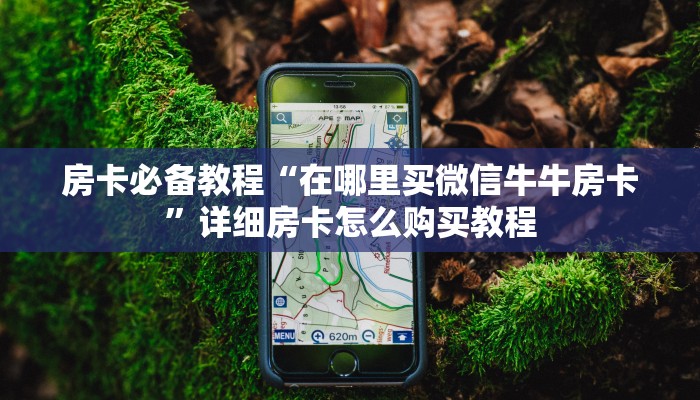 房卡必备教程“在哪里买微信牛牛房卡”详细房卡怎么购买教程