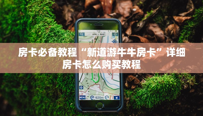房卡必备教程“新道游牛牛房卡”详细房卡怎么购买教程