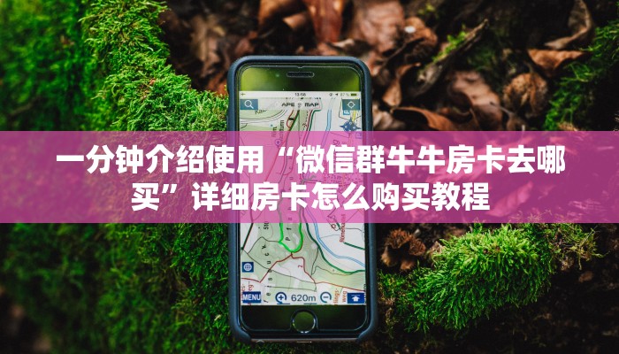 秒懂百科“大圣金花房卡怎么获取”房卡链接获取