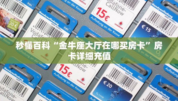给大家讲解“新九方大厅怎么买房卡”获取房卡教程-哔哩哔哩