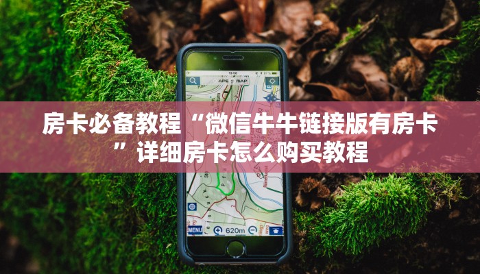 房卡必备教程“皇豪大厅牛牛房卡”获取房卡教程-哔哩哔哩