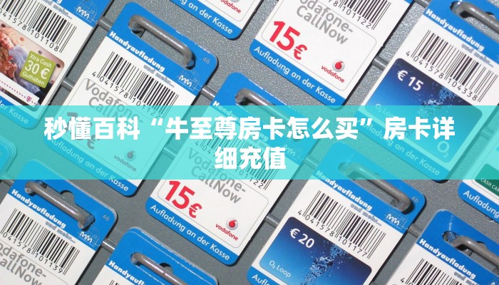 一分钟介绍使用“炸 金花链接房卡哪里买”房卡详细充值