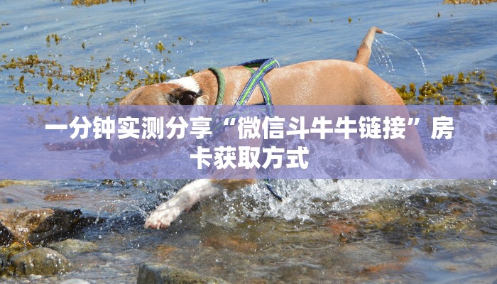 给大家讲解“炸 金花房卡在哪里购买”获取房卡教程-哔哩哔哩