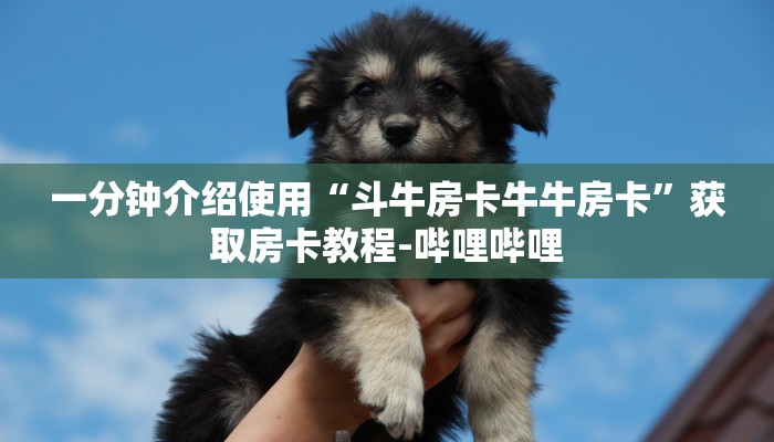 房卡必备教程“皇豪互娱在哪里买房卡”房卡详细充值