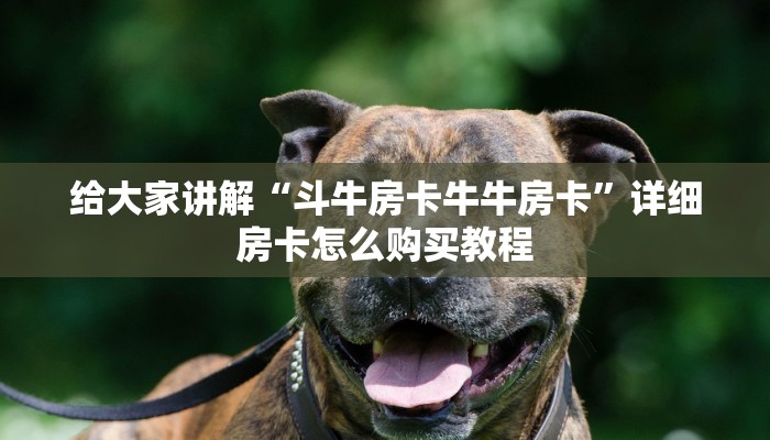 给大家讲解“斗牛房卡牛牛房卡”详细房卡怎么购买教程