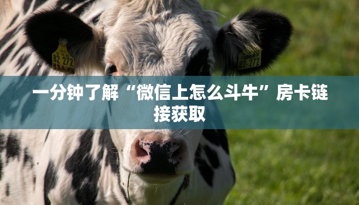 秒懂教程“正规斗牛房卡哪里买”房卡链接获取