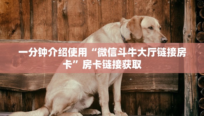 一分钟介绍使用“微信斗牛大厅链接房卡”房卡链接获取