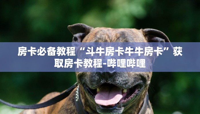 房卡必备教程“斗牛房卡牛牛房卡”获取房卡教程-哔哩哔哩