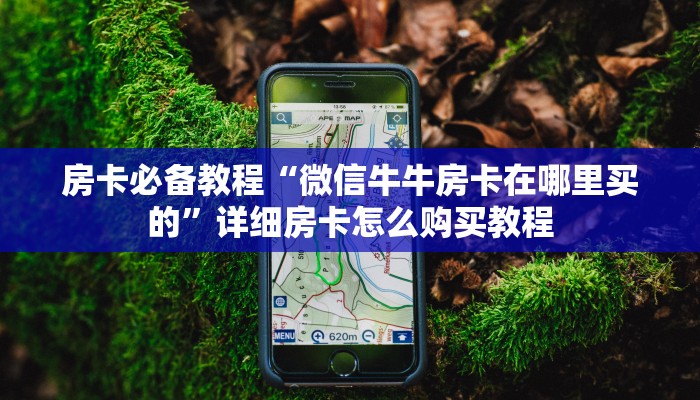 房卡必备教程“微信牛牛房卡在哪里买的”详细房卡怎么购买教程