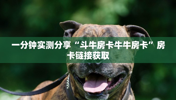 一分钟实测分享“斗牛房卡牛牛房卡”房卡链接获取
