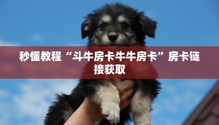 一分钟了解“微信炸 金花房卡链接怎么搞”详细房卡教程