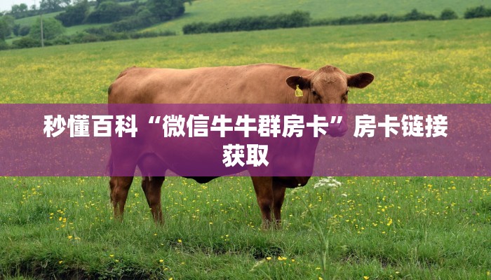 秒懂百科“微信炸 金花房卡如何充值”房卡链接获取