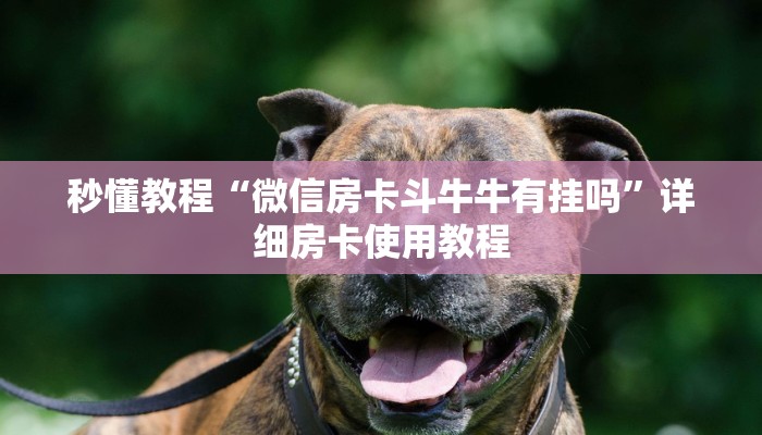 房卡全攻略“牛魔王金花牛牛房卡”详细房卡怎么购买教程