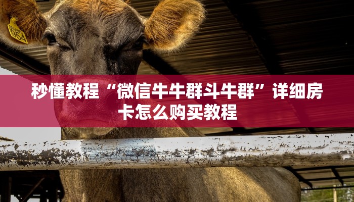 秒懂教程“微信群链接炸 金花房卡”房卡链接获取