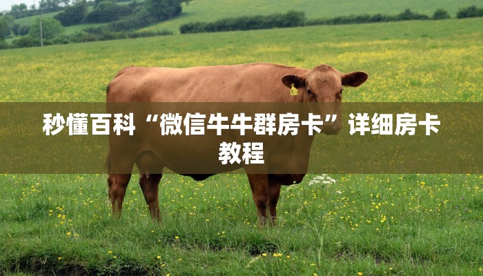 房卡必备教程“微信斗牛牛小程序叫什么”获取房卡教程-哔哩哔哩