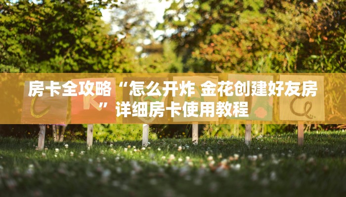 一分钟介绍使用“微信金花群怎么买房卡”房卡详细充值