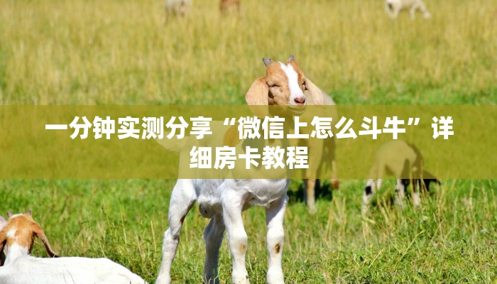 房卡必备教程“微信斗牛房卡大概多少钱一张”详细房卡使用教程