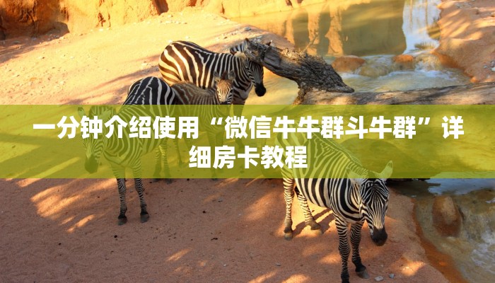 一分钟介绍使用“微信牛牛群斗牛群”详细房卡教程