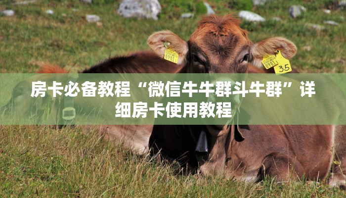 房卡必备教程“微信炸 金花链接在哪买”详细房卡怎么购买教程