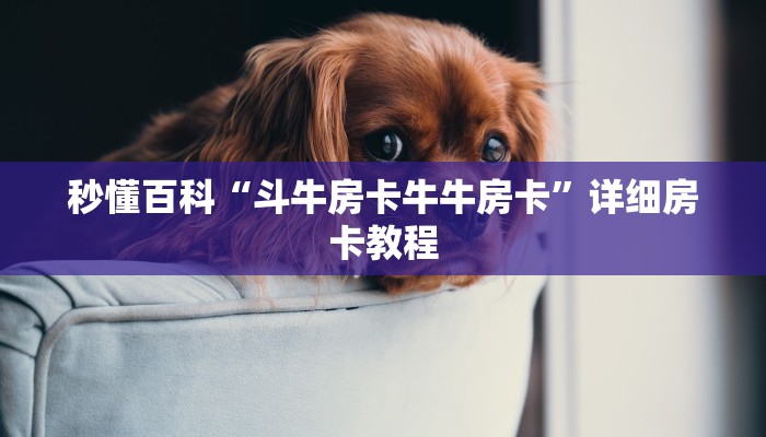秒懂百科“斗牛房卡牛牛房卡”详细房卡教程
