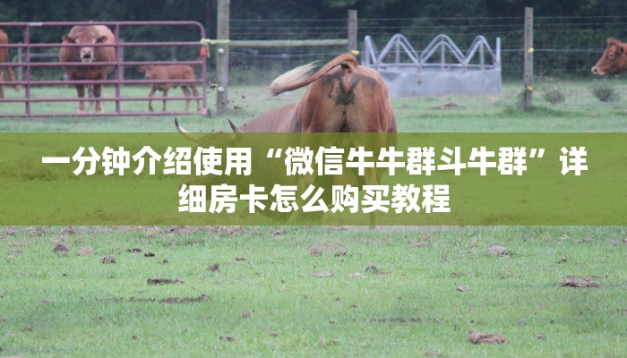 一分钟介绍使用“微信牛牛群斗牛群”详细房卡怎么购买教程