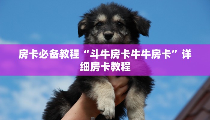 一分钟实测分享“15元100张房卡代理”详细房卡怎么购买教程