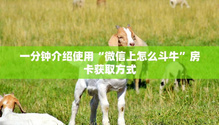 一分钟介绍使用“微信上怎么斗牛”房卡获取方式