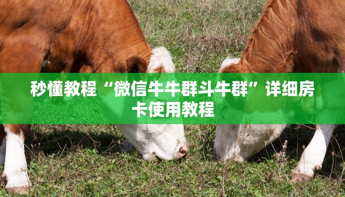 一分钟介绍使用“房卡扎金花总代理”房卡获取方式