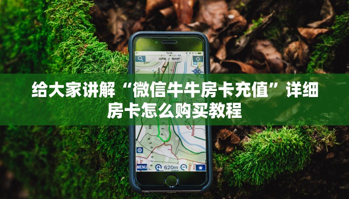 给大家讲解“微信牛牛房卡充值”详细房卡怎么购买教程