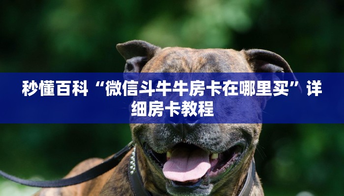 秒懂百科“微信斗牛牛房卡在哪里买”详细房卡教程