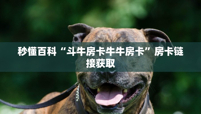 秒懂百科“斗牛房卡牛牛房卡”房卡链接获取