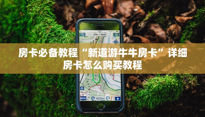 房卡必备教程“新道游牛牛房卡”详细房卡怎么购买教程