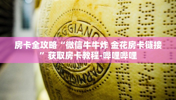 房卡必备教程“微信炸 金花链接怎么搞”详细房卡教程