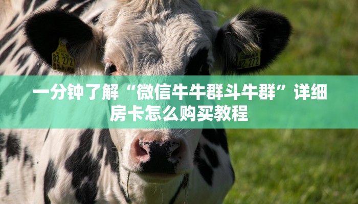 一分钟了解“微信牛牛群斗牛群”详细房卡怎么购买教程