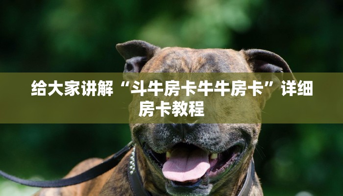 房卡必备教程“微信群炸 金花链接怎么弄的”获取房卡教程-哔哩哔哩