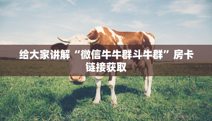 给大家讲解“微信牛牛群斗牛群”房卡链接获取