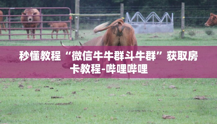 秒懂教程“微信牛牛群斗牛群”获取房卡教程-哔哩哔哩