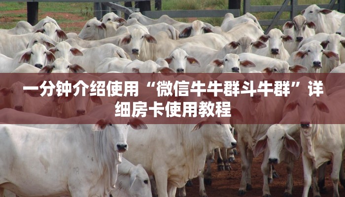 给大家讲解“微信群牛牛房卡多少钱”详细房卡使用教程