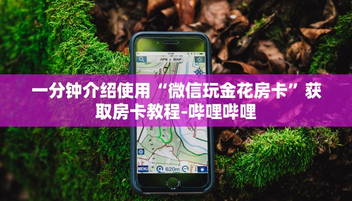 一分钟介绍使用“微信玩金花房卡”获取房卡教程-哔哩哔哩