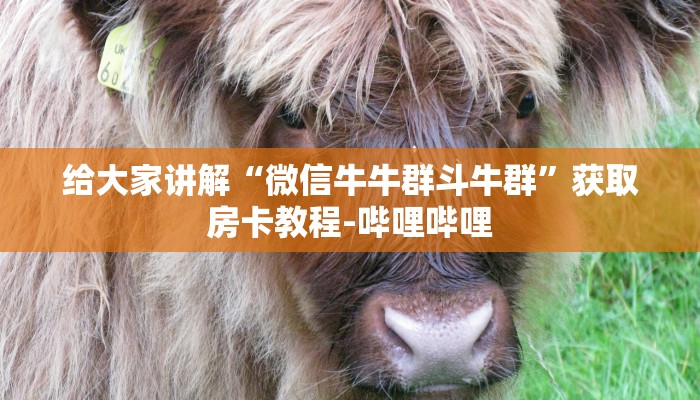 给大家讲解“微信群牛牛房卡哪里有卖的”获取房卡教程-哔哩哔哩