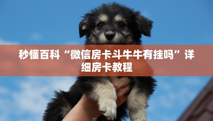 房卡必备教程“微信群牛牛房卡哪里”房卡获取方式