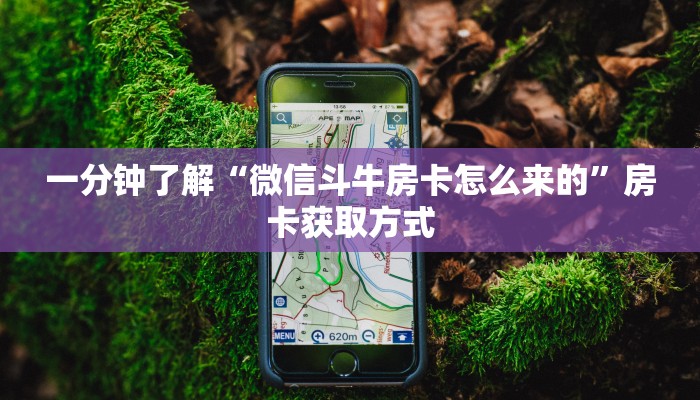 一分钟了解“微信斗牛房卡怎么来的”房卡获取方式