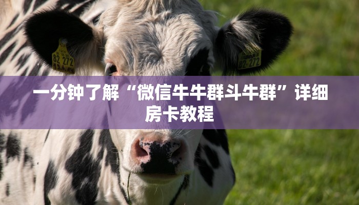 一分钟了解“微信牛牛群斗牛群”详细房卡教程