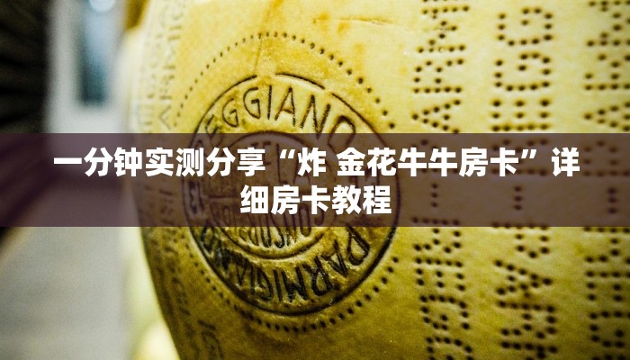 房卡必备教程“15元100张房卡代理”房卡详细充值