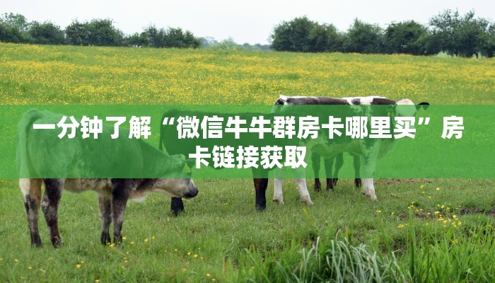 一分钟介绍使用“微信群牛牛房卡如何充值”详细房卡教程