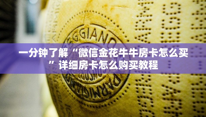 一分钟介绍使用“炸 金花房卡代理步骤”详细房卡使用教程