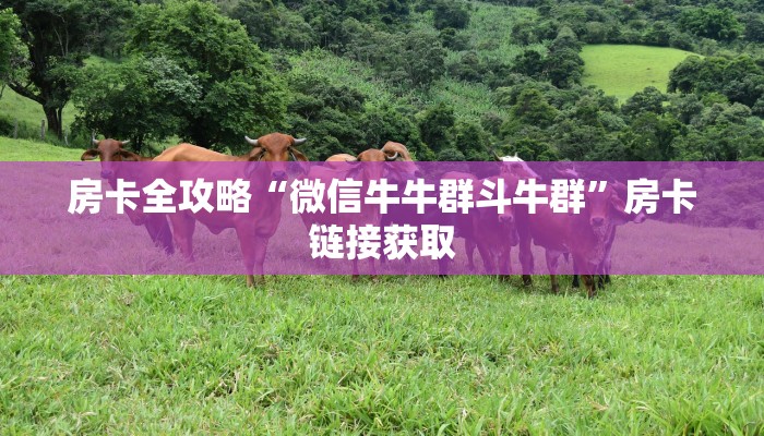秒懂教程“微信如何炸 金花房间链接”房卡链接获取