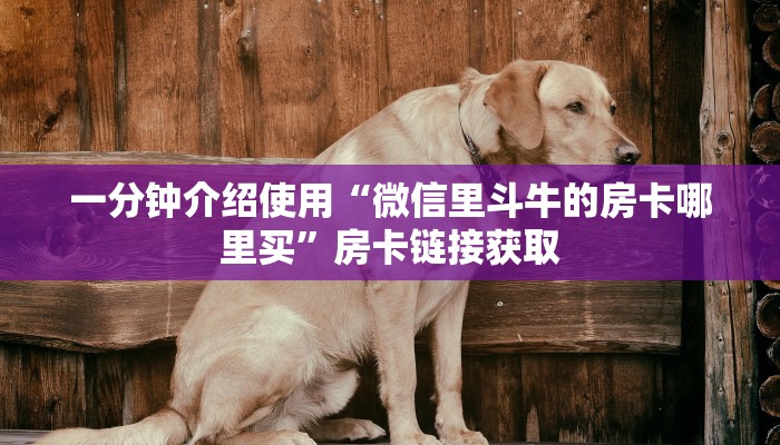 房卡必备教程“炸 金花房卡在哪里买的”获取房卡教程-哔哩哔哩